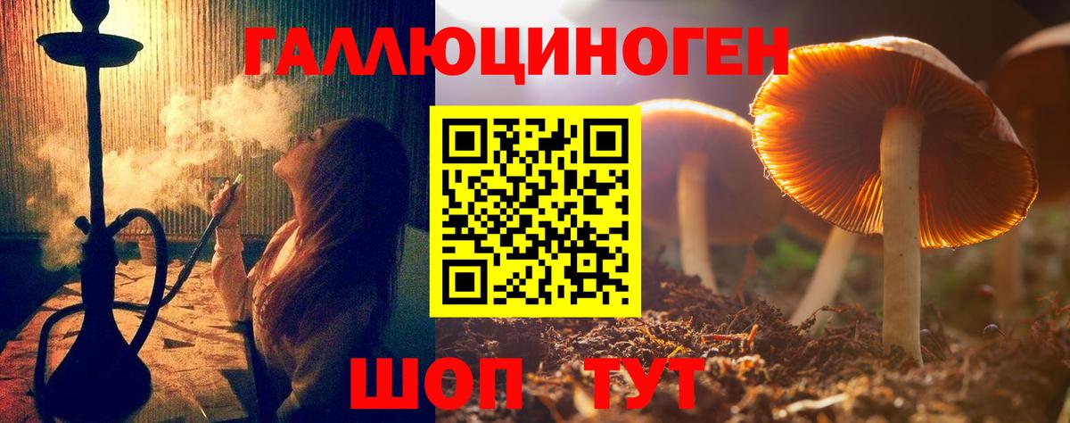 Галлюциногенные грибы Psilocybine cubensis  Вход с VPN  как найти закладки  Красногорск 
